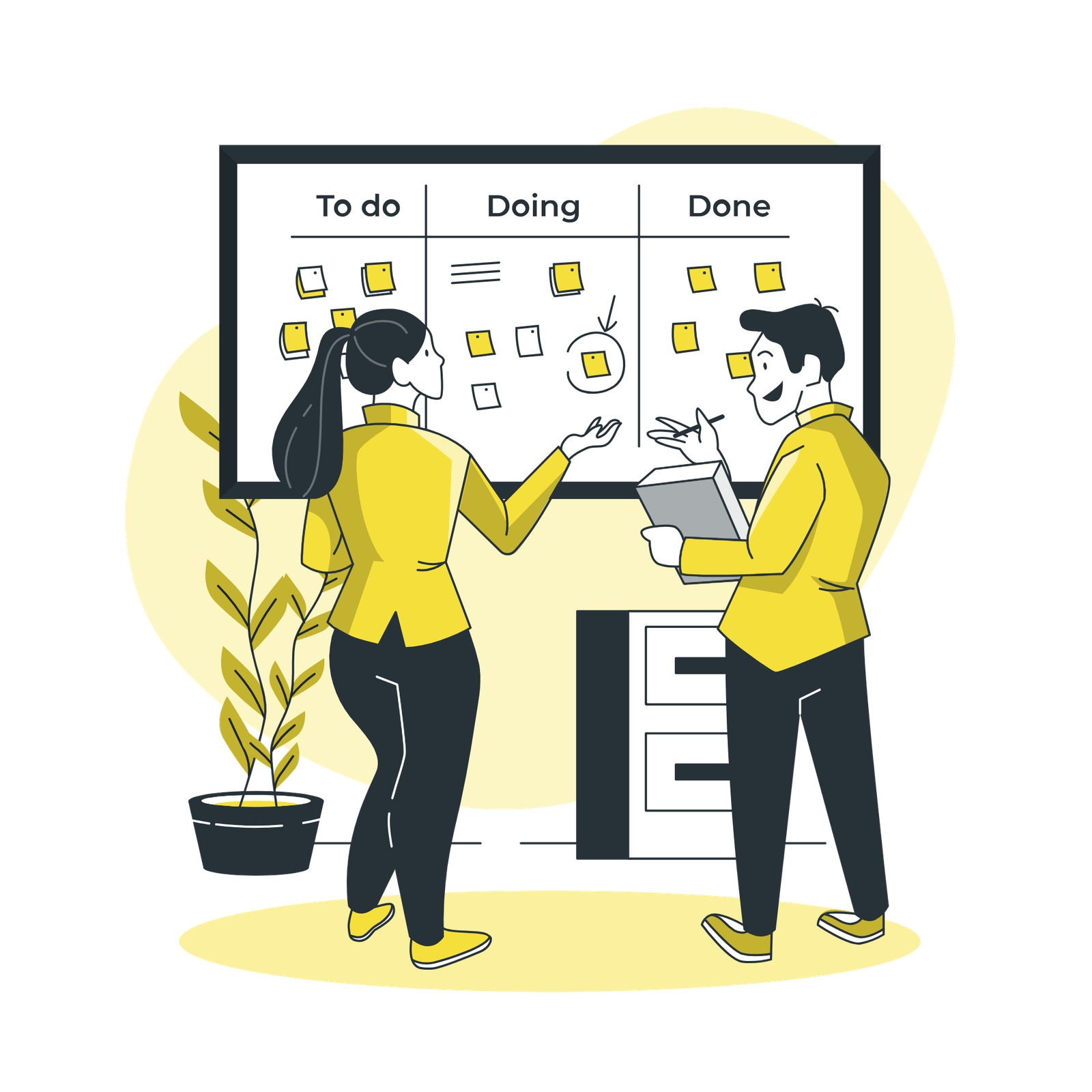 Our Process